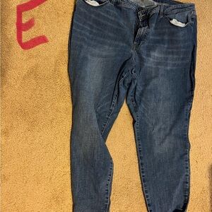 Women's Blue Jeans - Pistola from Stitch Fix